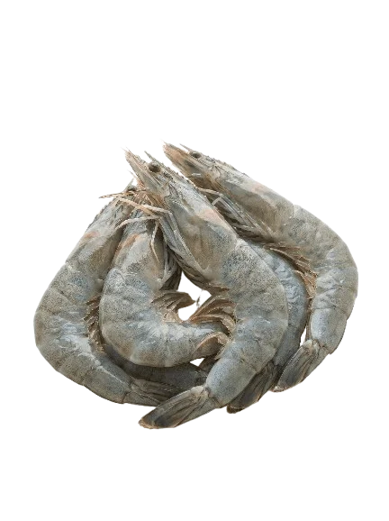 Jumbo Shrimp (Head On)