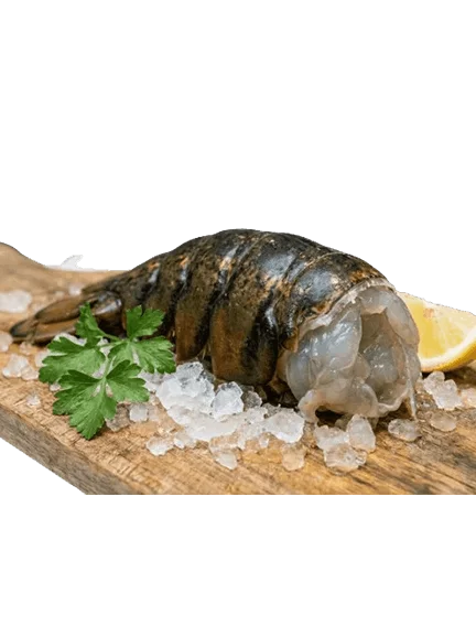 Lobster Tail (Frozen)